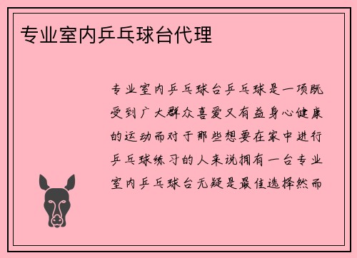 专业室内乒乓球台代理