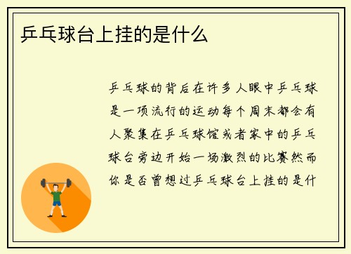 乒乓球台上挂的是什么