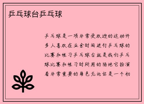 乒乓球台乒乓球