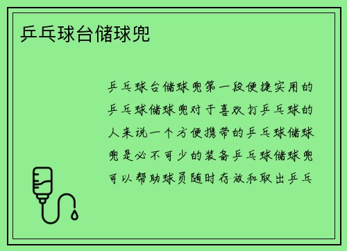乒乓球台储球兜