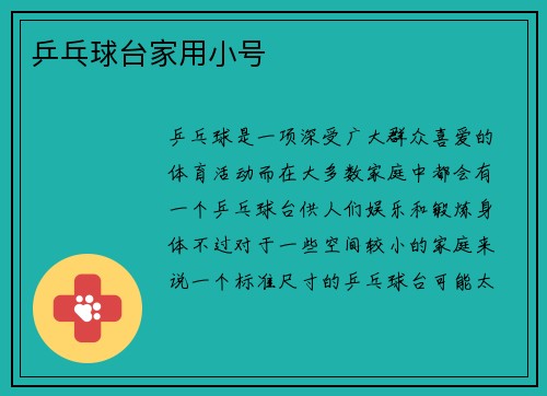 乒乓球台家用小号