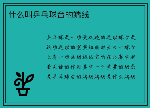 什么叫乒乓球台的端线