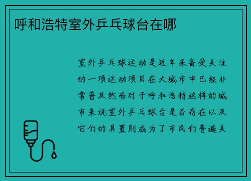 呼和浩特室外乒乓球台在哪